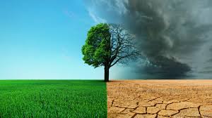 La Creciente Preocupación por el Cambio Climático: Acciones Urgentes&nbsp;Necesarias