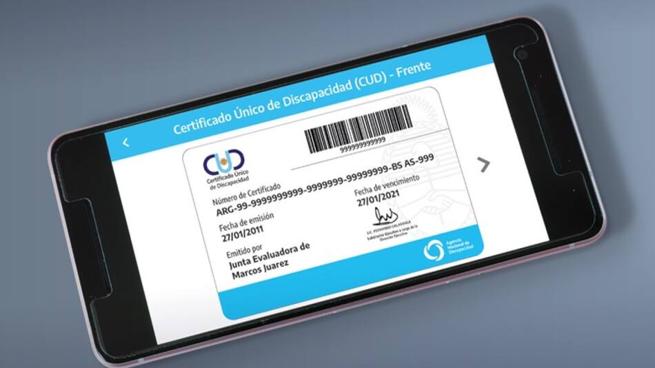Todo sobre el CUD: qué discapacidades abarca, qué derechos otorga y cómo descargar su versión&nbsp;digital